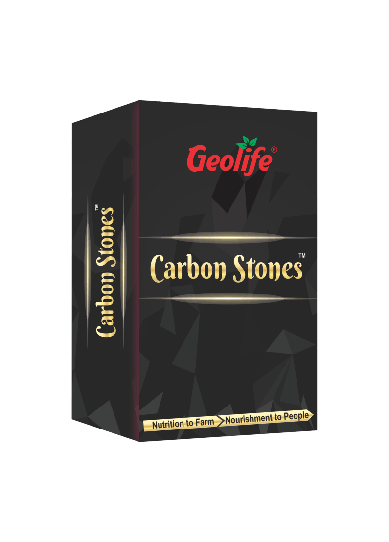 Carbon Stones